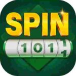 Spin 101