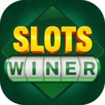Slots Winner